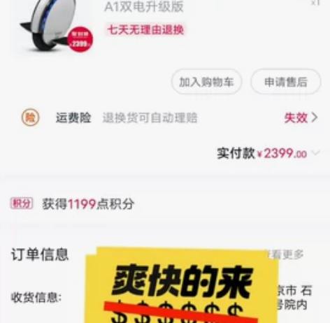 小米 独轮 九号 平衡车  A1 双电版 ...