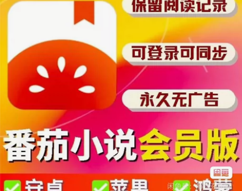番茄小说 番茄畅听vip会员，一年卡12个...