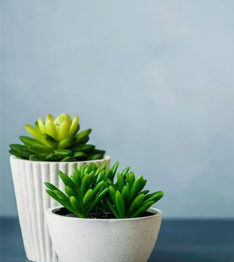 【极速到账】全国话费充值93折 【Q1：话...