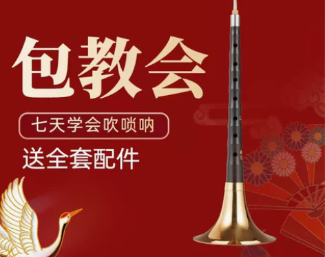 新艺演奏专业乌木唢呐乐器全套d调D调初学者...