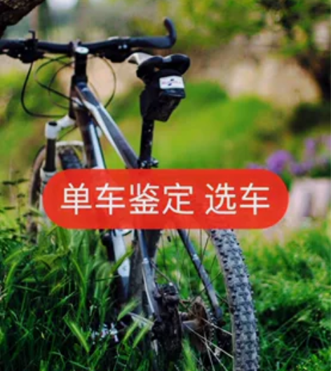 单车（自行车）鉴定估价 选车服务（山西地区...