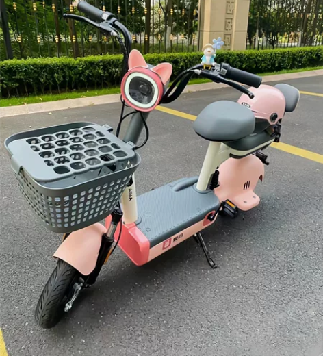 同城转让二手国标电动车 8-9成新二手电动...