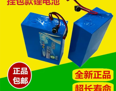 电池电动车 锂24v36V48V锂电池20...