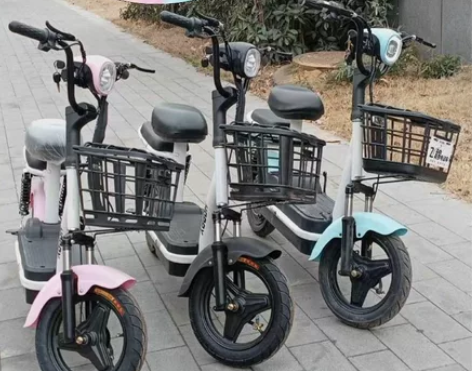 【急售急售处理】全新电动车新国标可上牌锂电...