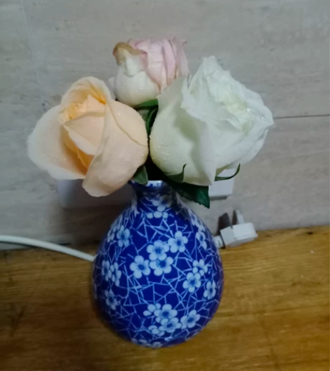 景德镇青花瓷空瓶子时尚花瓶摆件一对，有意者...