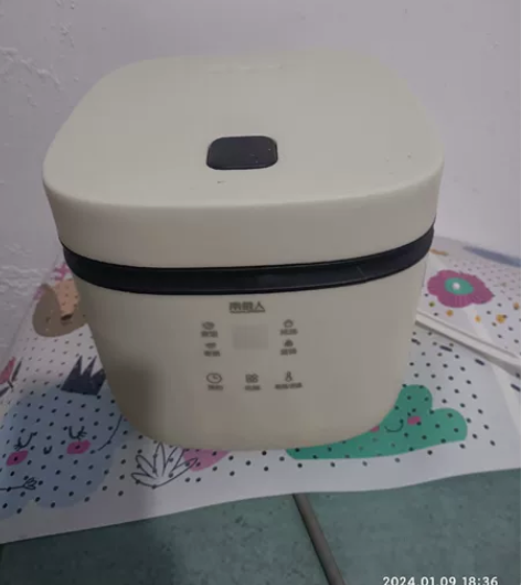 南极人电饭煲，小型的，一两个人用，全新未用...
