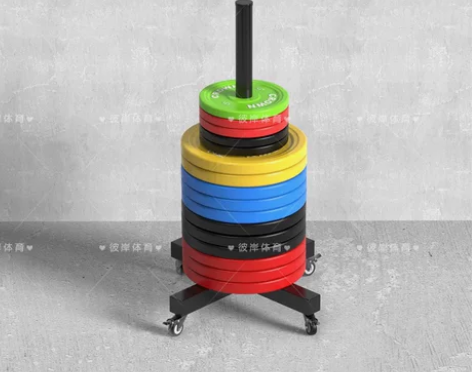 直立奥片储存杠铃片收纳架家用可移动大孔片存...