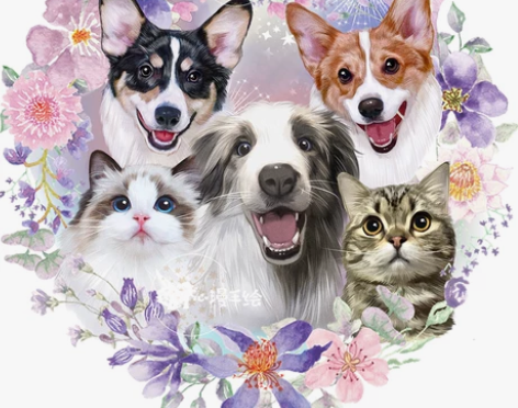 手绘宠物头像 宠物手绘定制猫咪动漫logo...