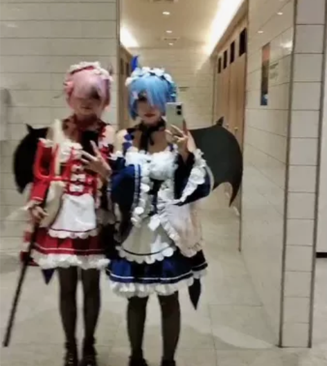 绝色漫家蕾姆拉姆小恶魔 状态很好 如图  ...