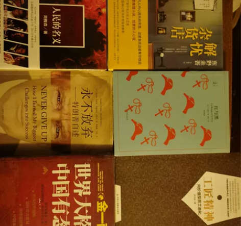 解忧杂货店，人民的名义，资本之王，红与黑，...