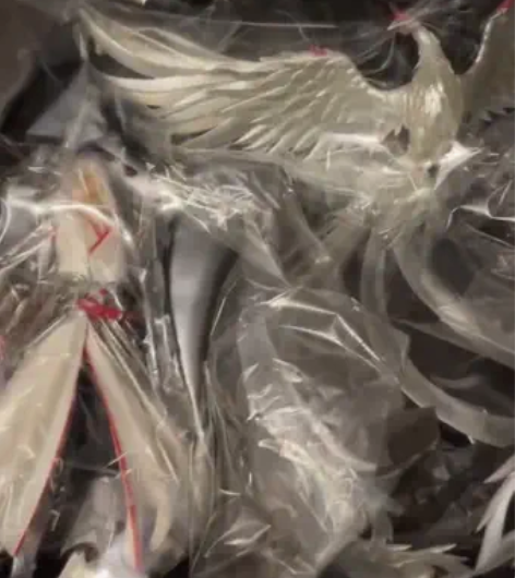 王者荣耀正版凤求凰李白手办，瑕疵品！ 鸟和...