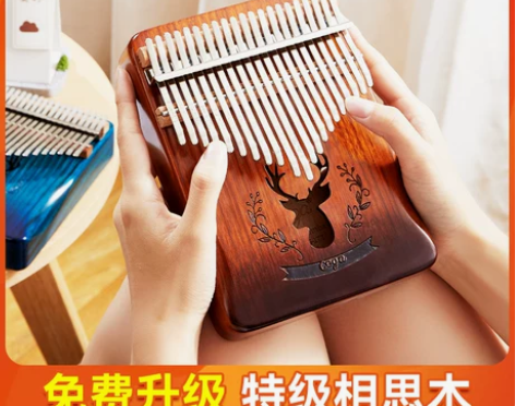 前谷拇指琴卡林巴琴21音五指琴女生初学者水...