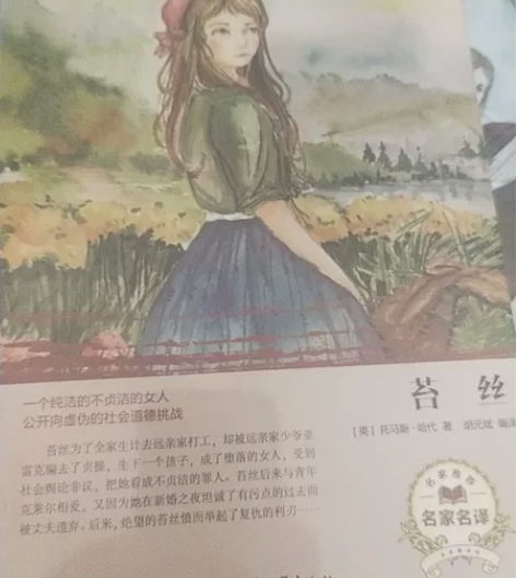 文学名著，全是正品，未开封《呼啸山庄》《飘...