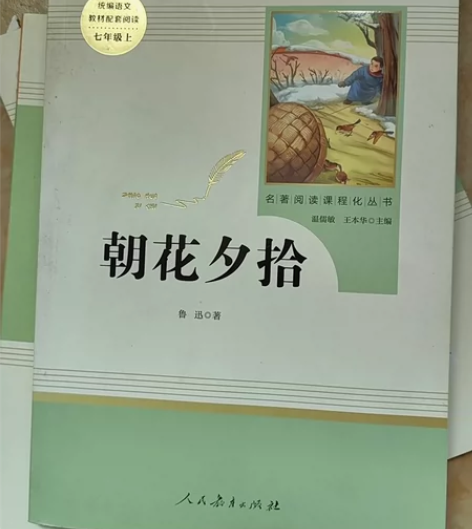 朝花夕拾(7上)/名著阅读课程化丛书 感兴...