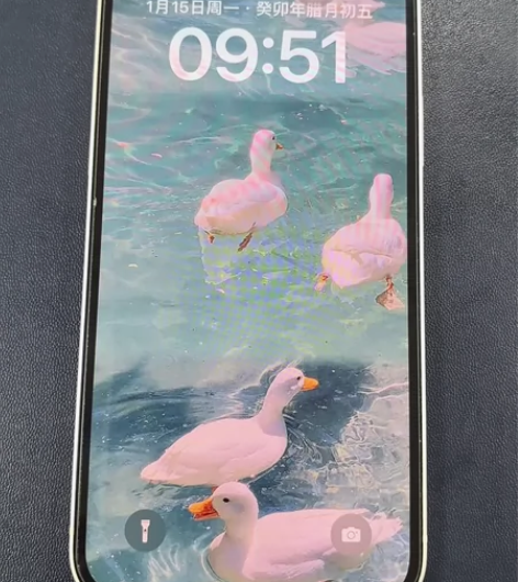 (个人直出,女生自用) iPhone12白...