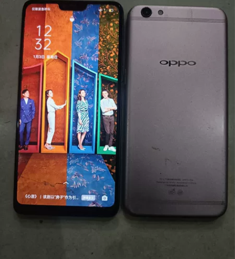 出二台oppo手机，都能正常开机，有一台密...