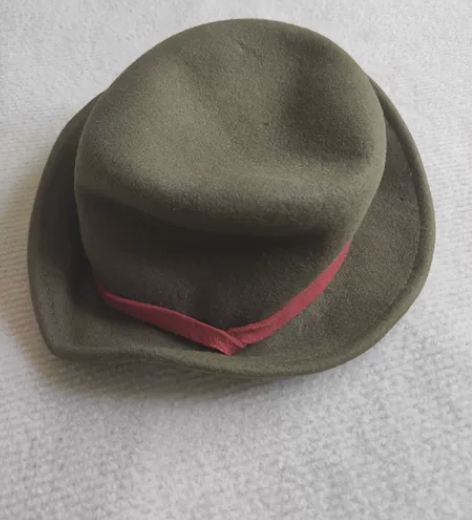 【科幻 可换】羊毛帽子 礼帽 军绿色 纯羊...