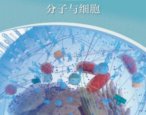 2023 新改版 沪教版上海高中教材课本数...