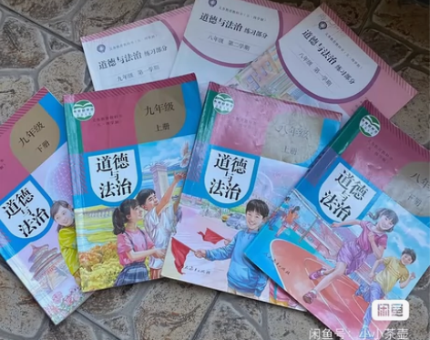 初中教材：道德与法治九年级。笔记完整 字迹...