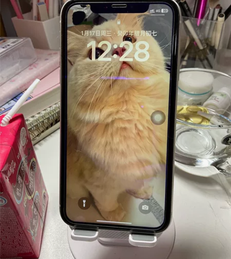 出xr 自用的 只出个人买家 iphone...