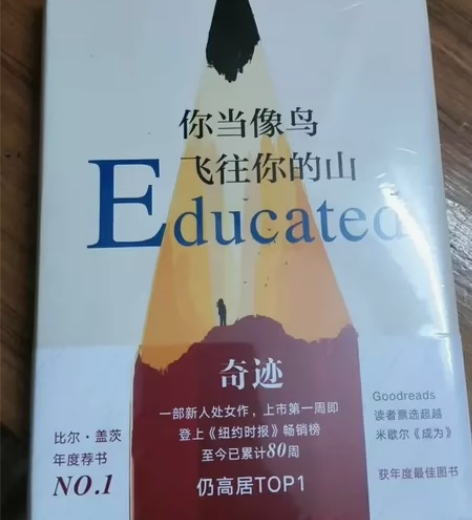 当像鸟飞往你的山 比尔盖茨年度特别推荐 经...