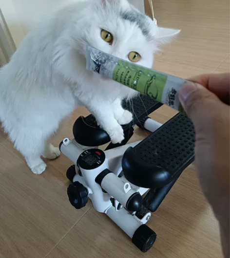 闲置踏步机转让。减肥利器，方便好用，可调力...