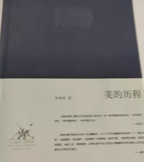 美的历程 李泽厚著 影视\电影\戏文类考研...