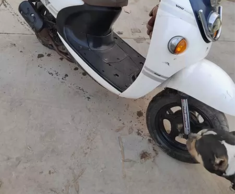 铃木踏板摩托车 小踏板 小摩托车 望江铃...
