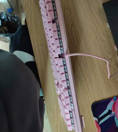 99新机械键盘雷柏v500pro 可小刀青...