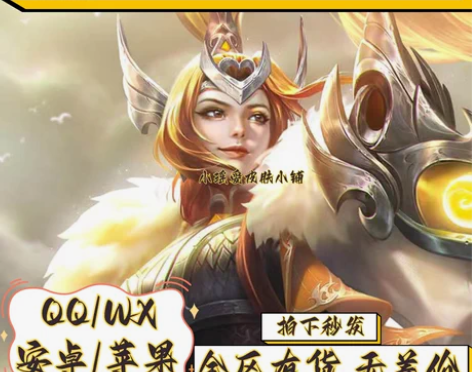 【QV双区标价秒发】王者荣耀花木兰冠军飞将...