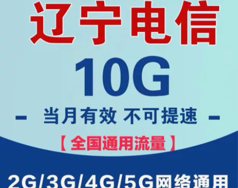 辽宁电信流量充值10G包全国通用支持4G5...