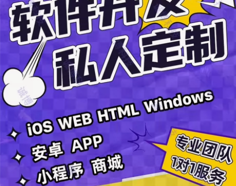 软件定制开发,PHP开发,项目二次开发,电...