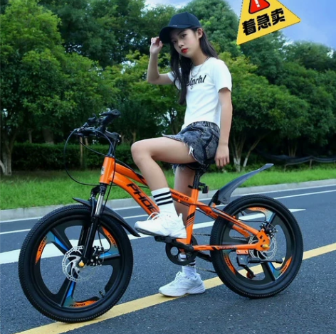 【实体搬迁，全新处理】凤凰牌 全新儿童自行...