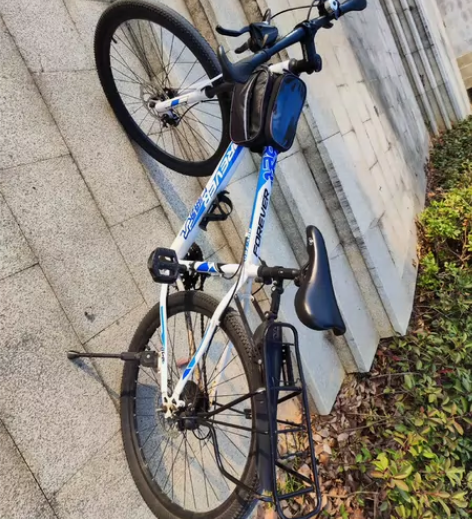 上海永久牌成人年山地自行车男士上班骑变速越...