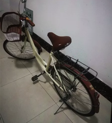 国货之光！老牌子永久自行车，铝合金轮毂，骑...