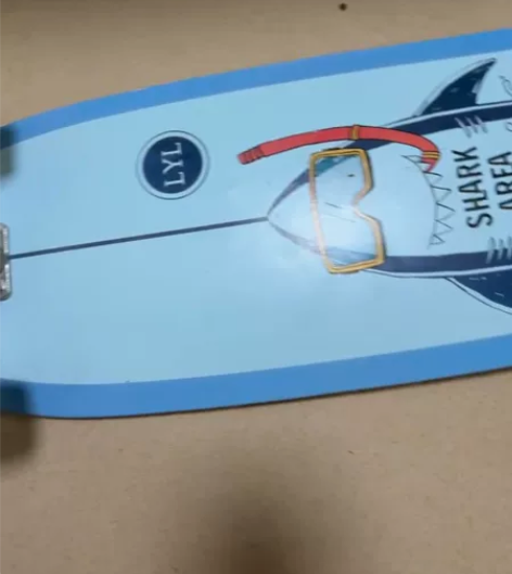 陆地冲浪板国产 买了一年，滑了2次，无磕碰...