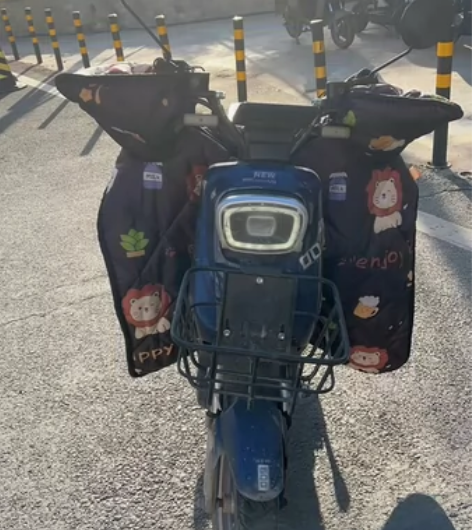 009电动车，48付20安的，电池是5月份...