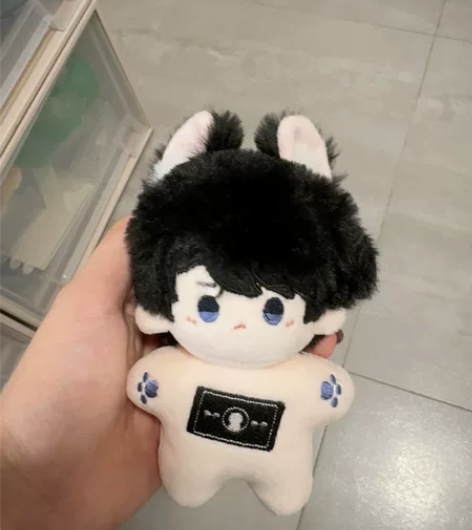 【现货】李泽言10cm小娃娃 非官方棉花娃...