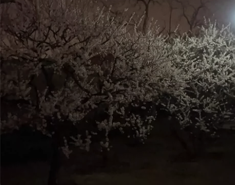 优惠充｜全国地区移动、联通、电信三网话费9...