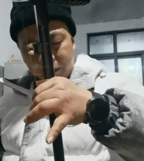 音色特别好的二胡黑檀木的专业演奏琴全新带琴...