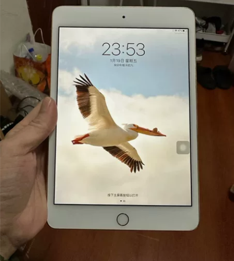 学生自用ipad mini4 128G，边...