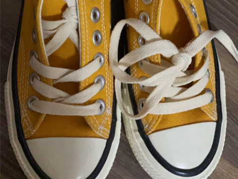 全新：帆布鞋 原因：当时购入了两双，一双忘...