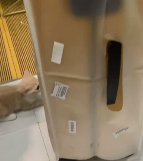 【机场同款】ITO PISTACHIO S...