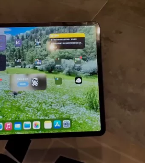 ipad pro (第三代）12.9 如图...