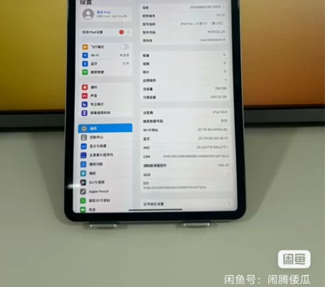 Apple/苹果 iPad Pro 2代 ...
