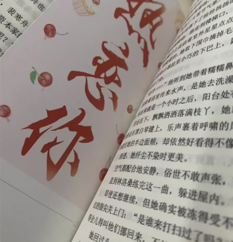 热恋你小说  正版全新仅拆 娱乐圈先婚后爱...
