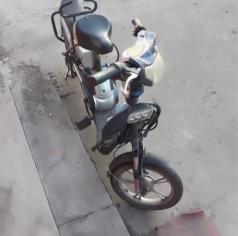 飞鸽电瓶车闲置，电瓶放的时间太常不能用了，...