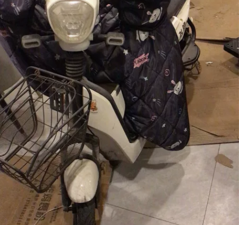 飞鸽电动车,开店时候1000买的代步的,现...