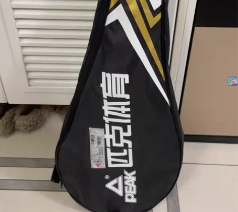 网球拍，京东购买的，质量很好，还有训练底座...