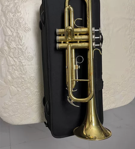 孩子报名参加鼓号队买的小号，一次没用过，如...